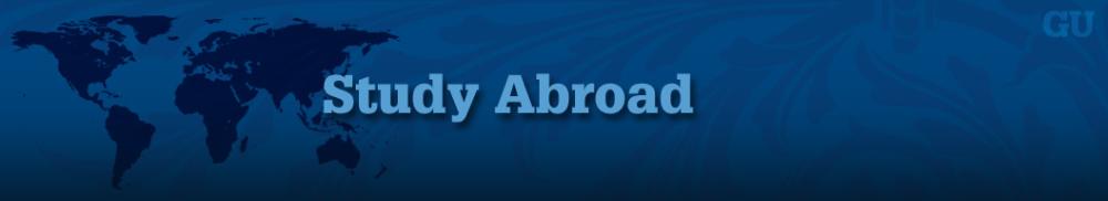 Study Abroad Banner